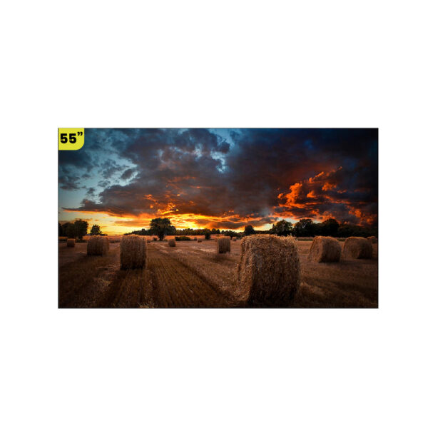 PANTALLA DE SEÑALIZACIÓN VM55B-U SAMSUNG 55" (1920 x 1080)
